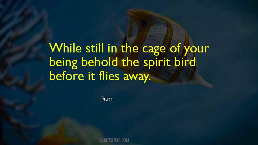Bird Out Of Cage Quotes #107239