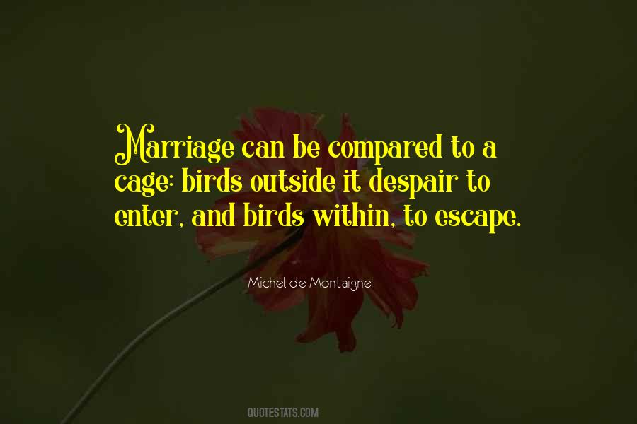 Bird Out Of Cage Quotes #156677