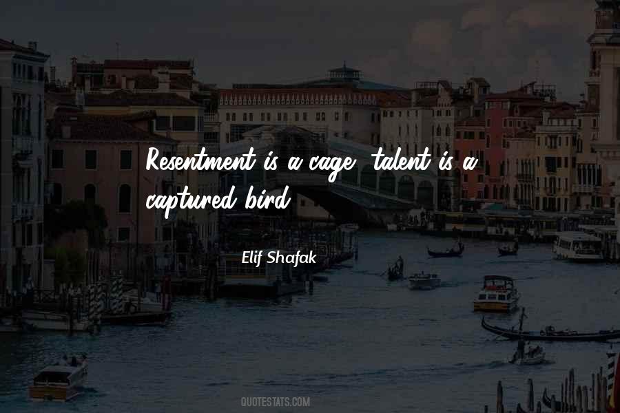 Bird Out Of Cage Quotes #237186