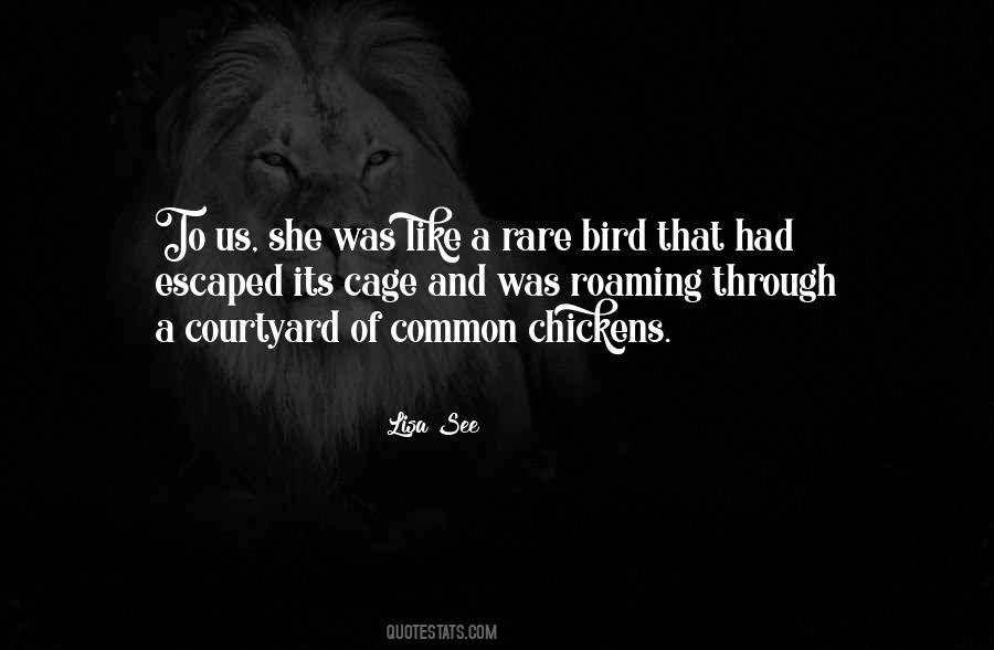 Bird Out Of Cage Quotes #312494