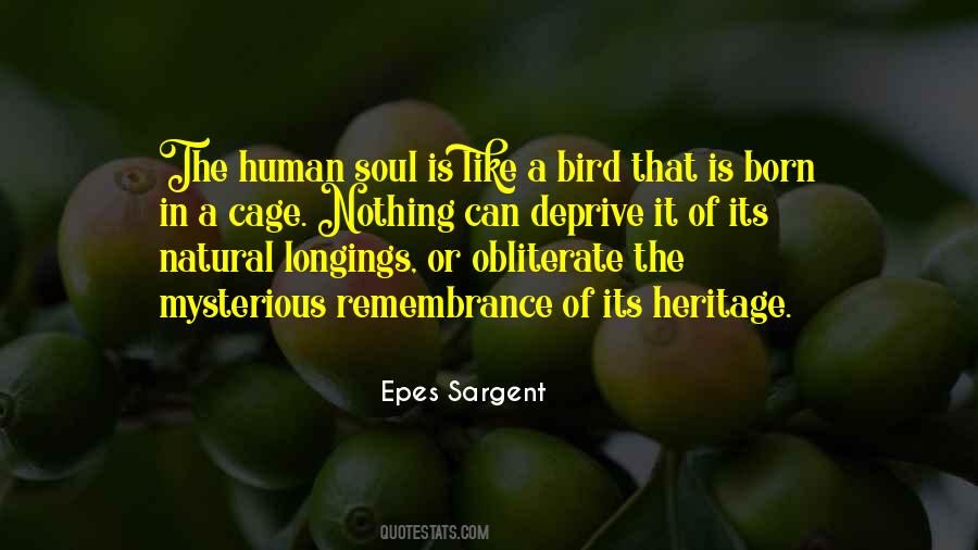 Bird Out Of Cage Quotes #428675