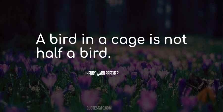 Bird Out Of Cage Quotes #480802