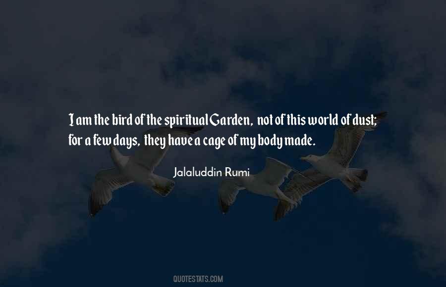 Bird Out Of Cage Quotes #621260