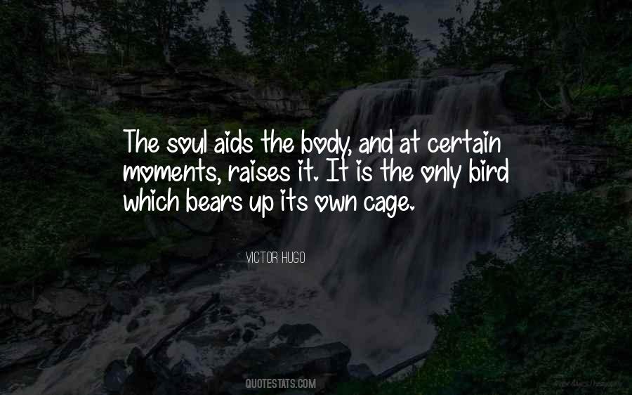 Bird Out Of Cage Quotes #626654