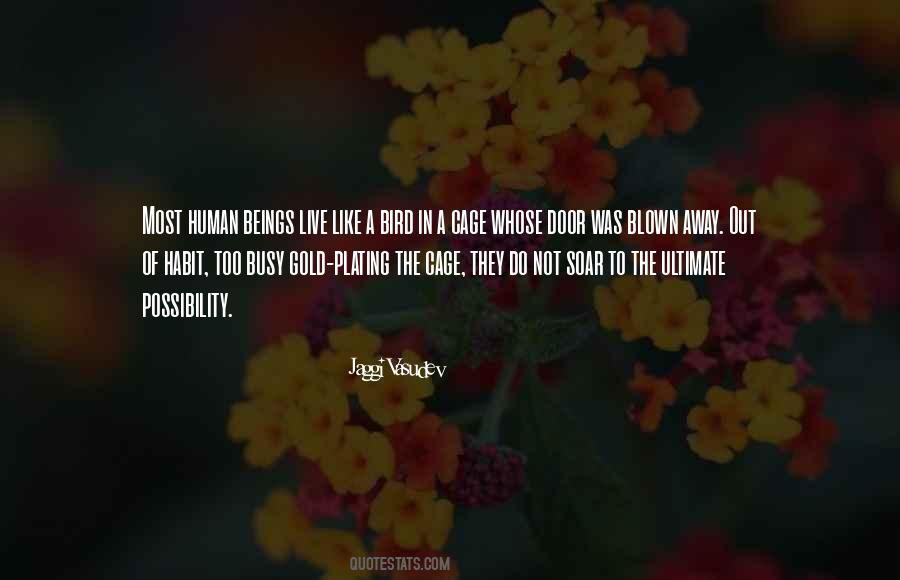 Bird Out Of Cage Quotes #768294