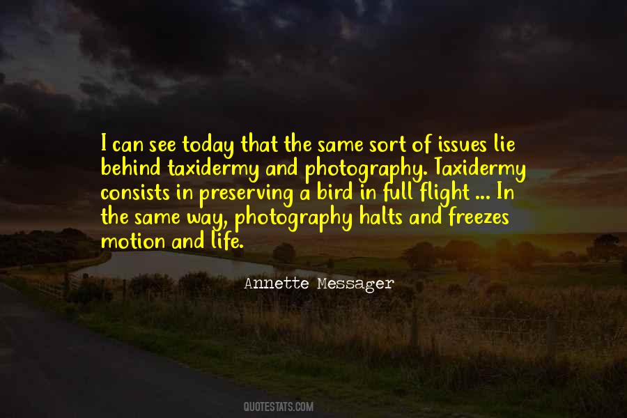 Bird Quotes #1609485