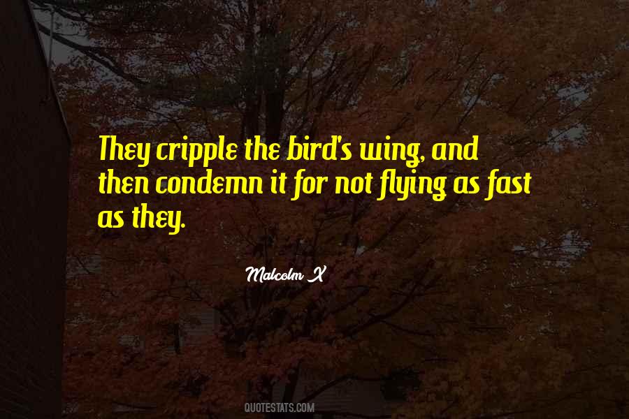 Bird Wing Quotes #1205967