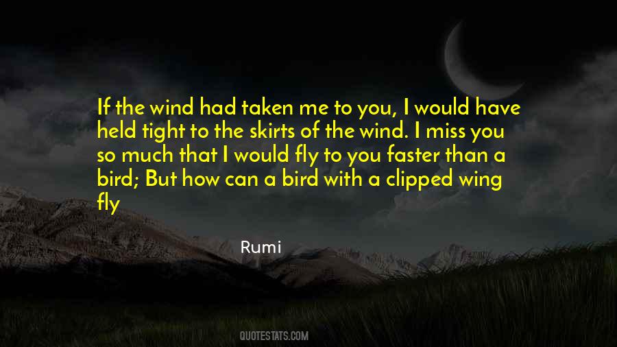Bird Wing Quotes #893013