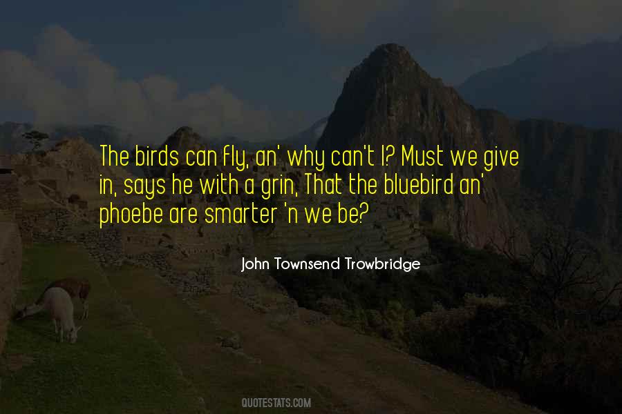 Birds Can Fly Quotes #438384