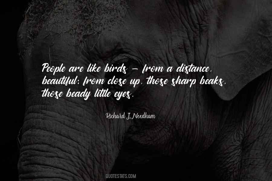 Birds Eye Quotes #1093826