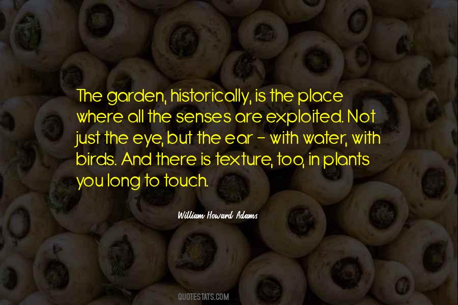 Birds Eye Quotes #1490911
