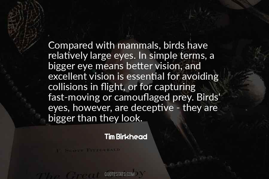 Birds Eye Quotes #890226