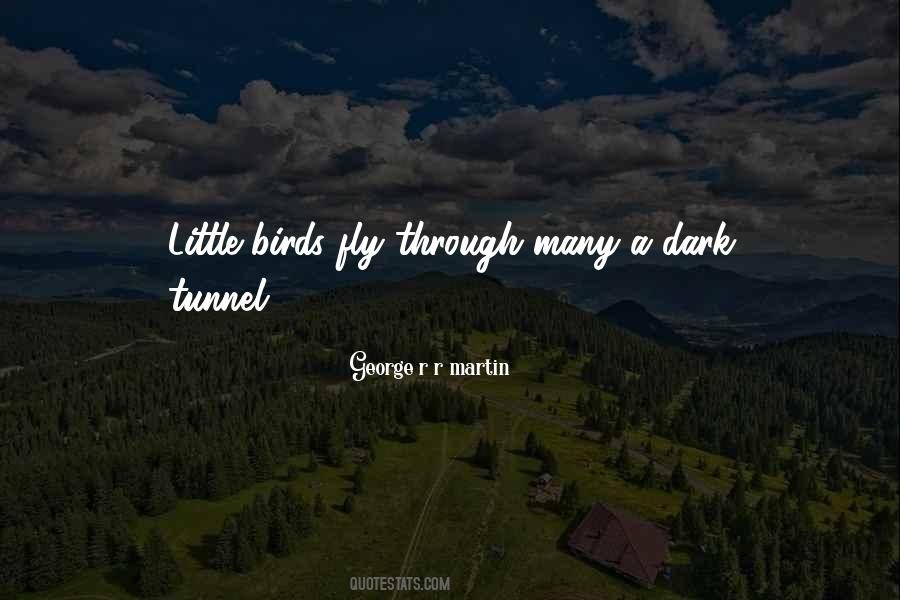 Birds Fly Quotes #343404