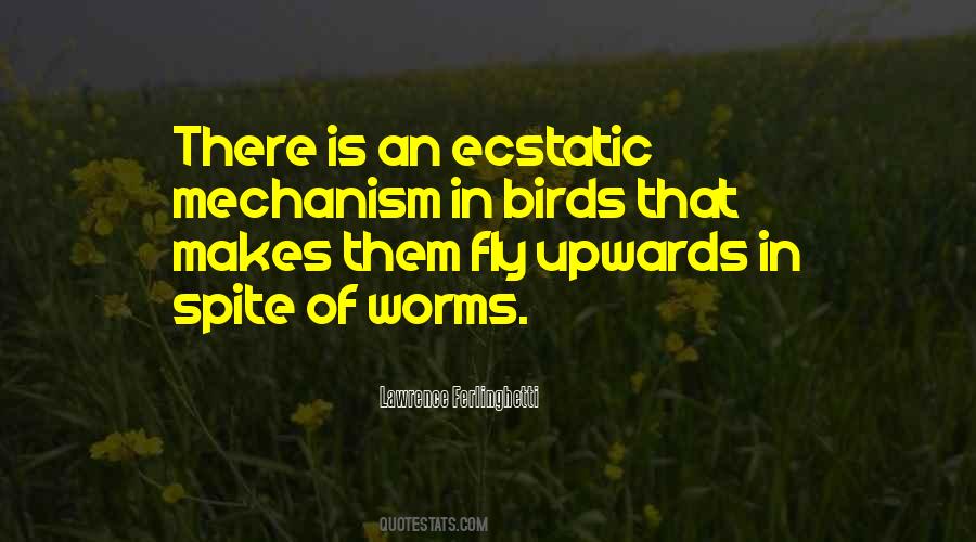 Birds Fly Quotes #780901