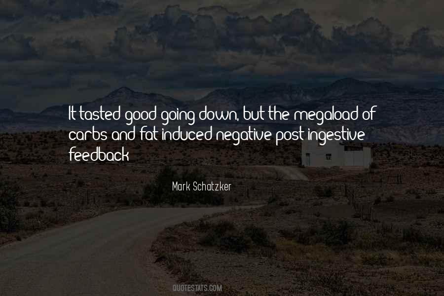 Bookaholic Pillow Quotes #774550