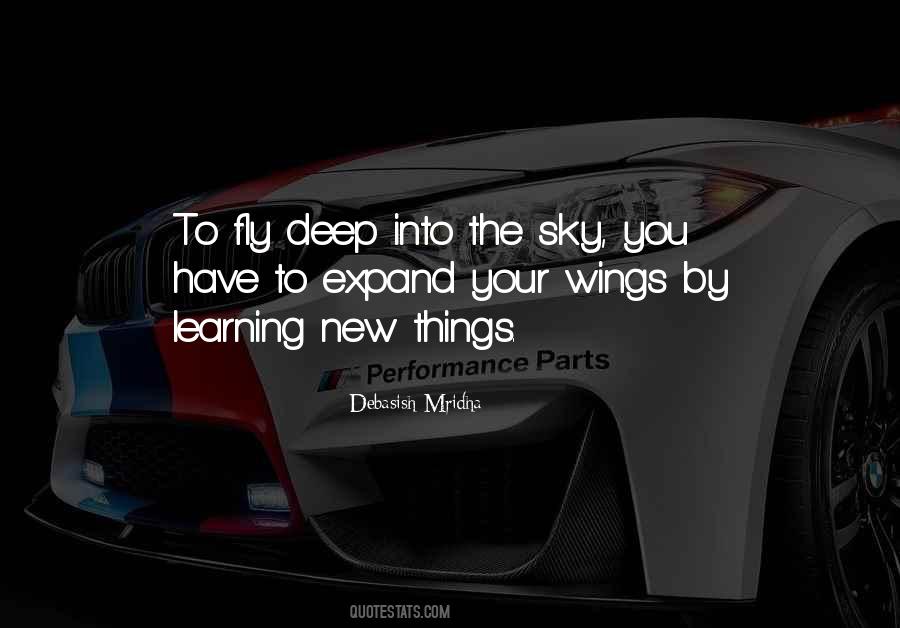 Learning How To Fly Quotes #134486