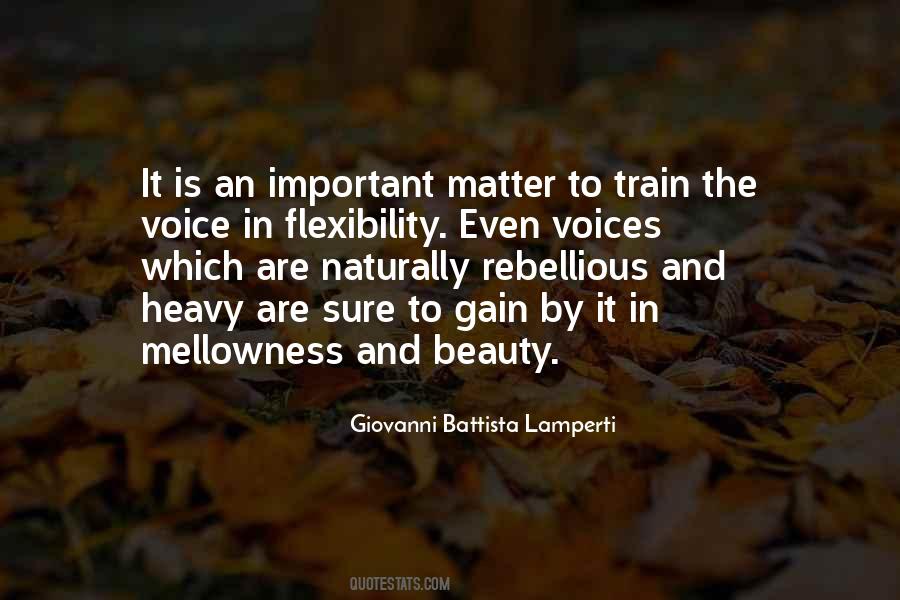 Lamperti Versus Quotes #1282887