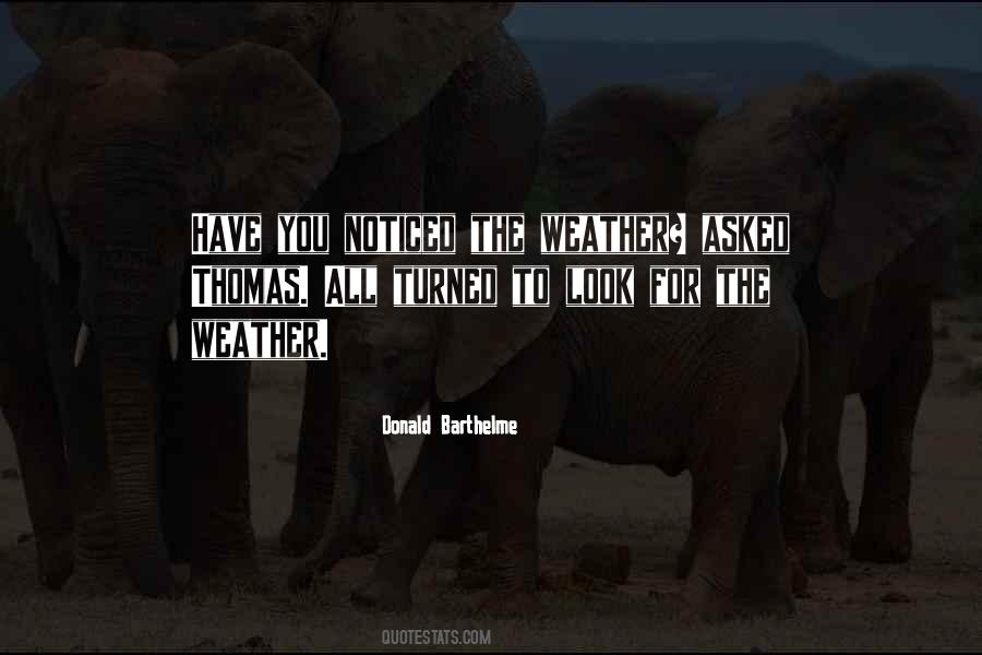 Torchio Arrabbiata Quotes #1750177