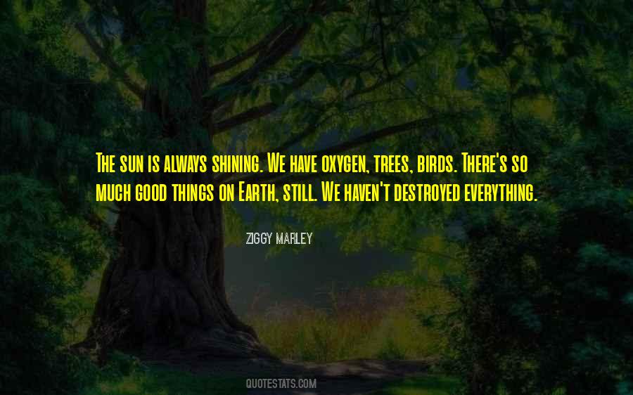 Sun Is Shining Quotes #373076