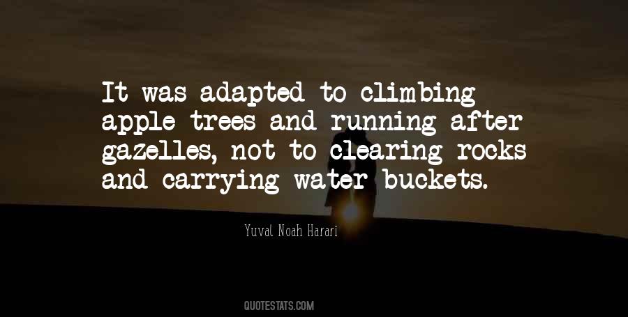 Consoled In A Sentence Quotes #554232