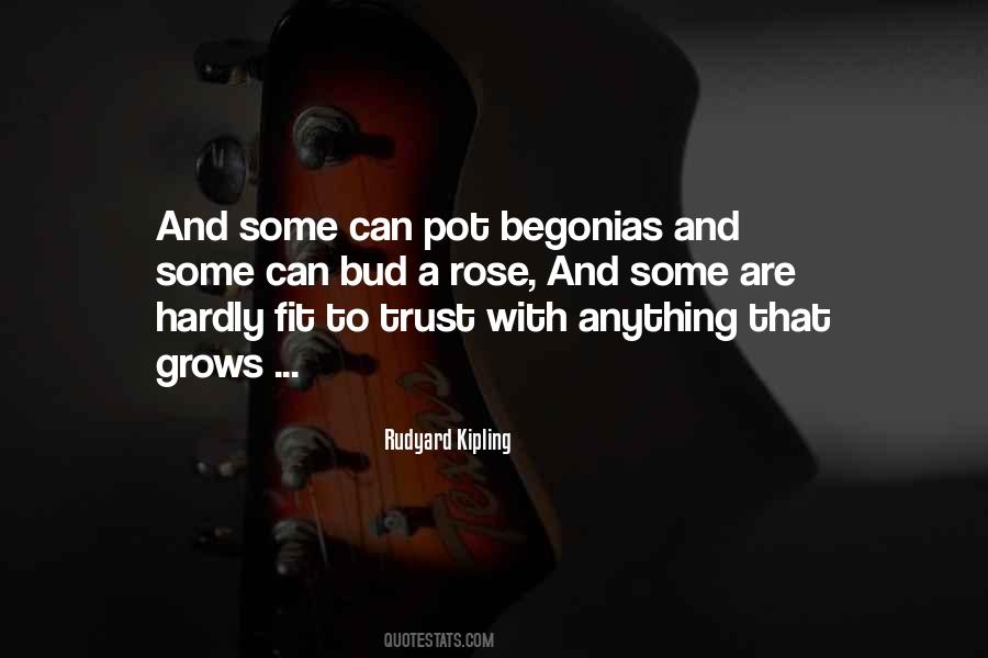 Enclenque Significado Quotes #351230