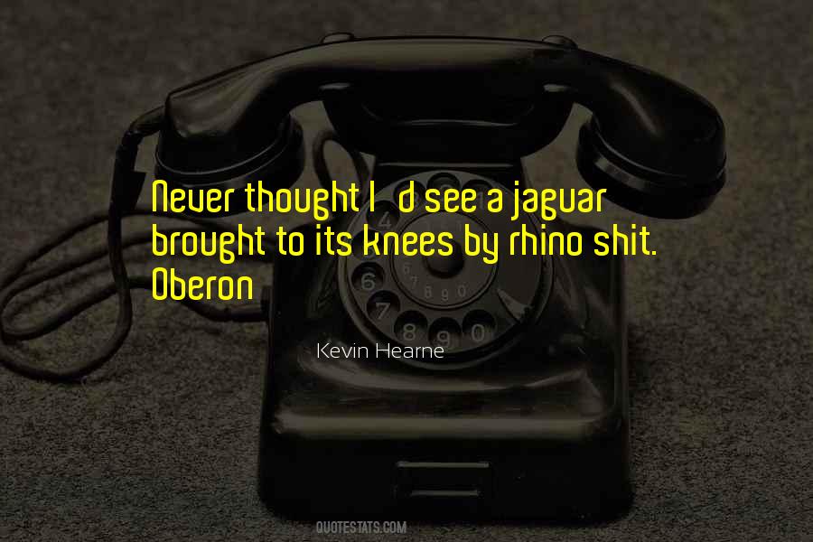 Zailoo Quotes #1556634