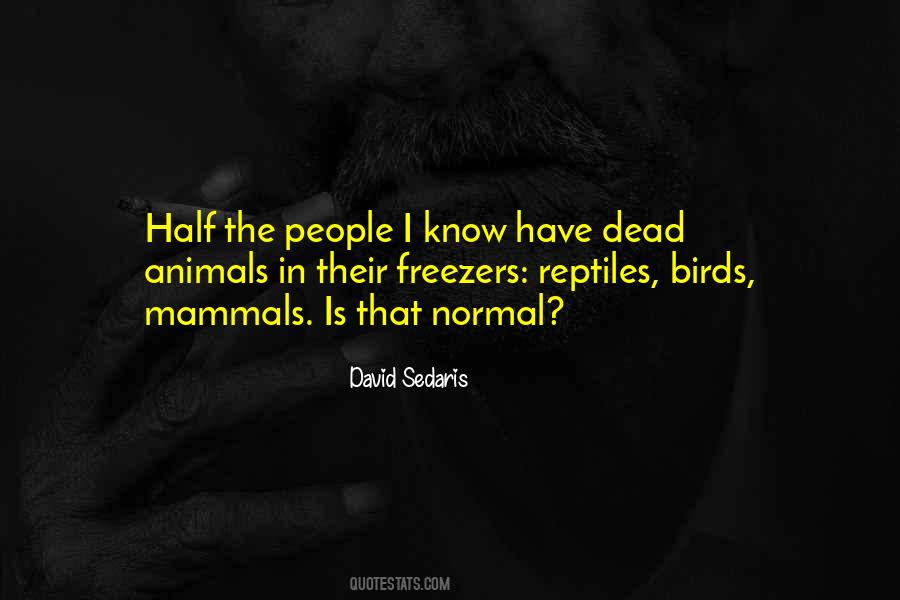Mokyklos Kaune Quotes #1048426