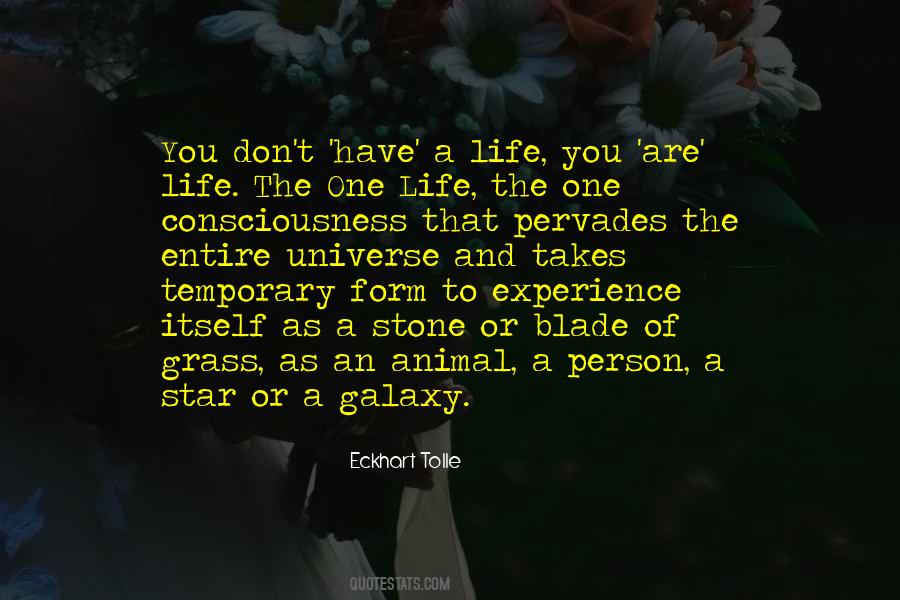 I Love Sundays Quotes #288906