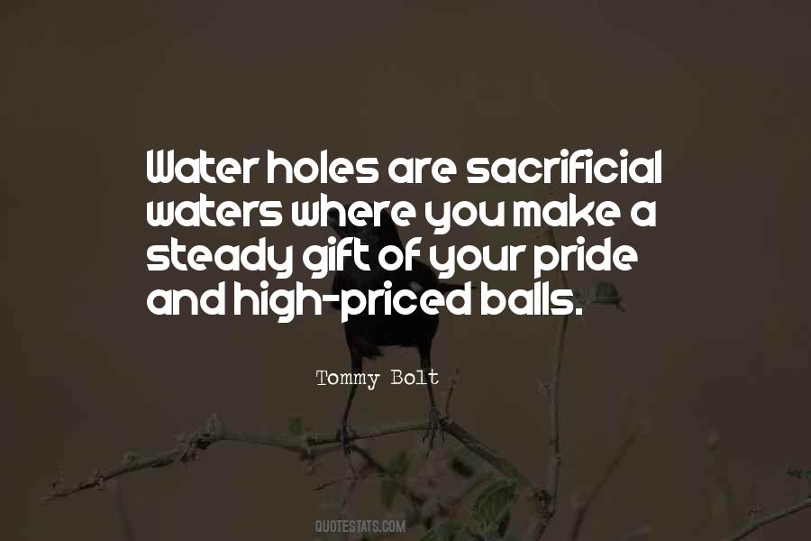 Holes Holes Quotes #172299