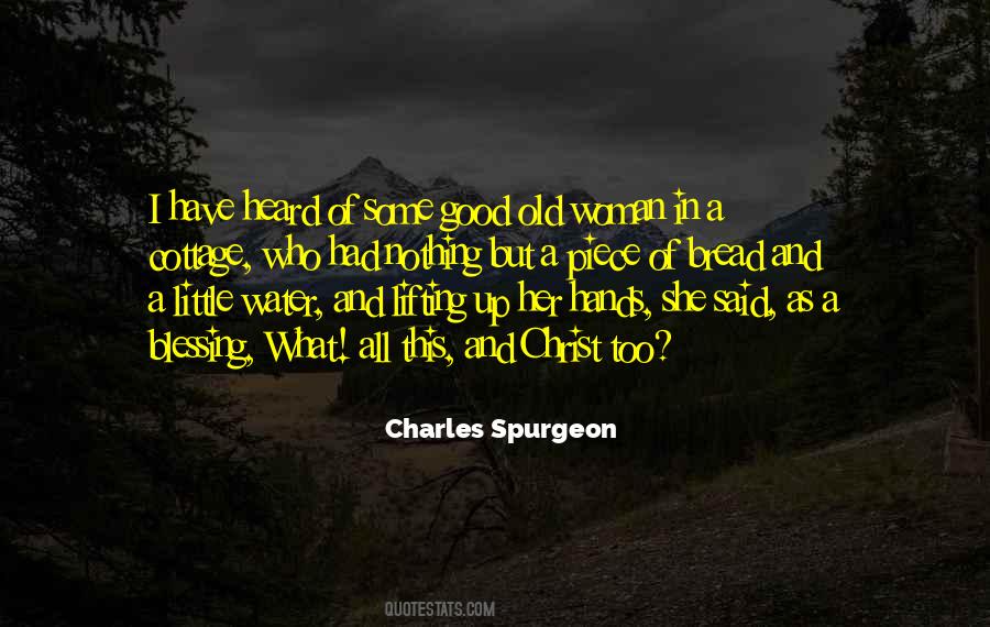Idealizing The Past Quotes #977368
