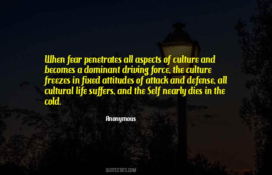 Aspects Of Culture Quotes #931884