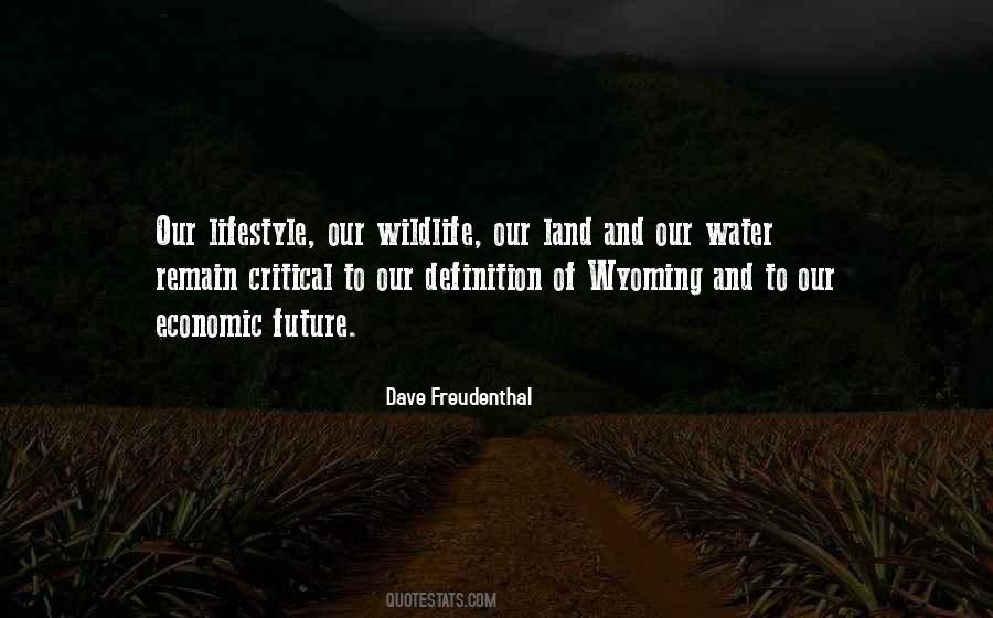 Cicola Photographer Quotes #1126441