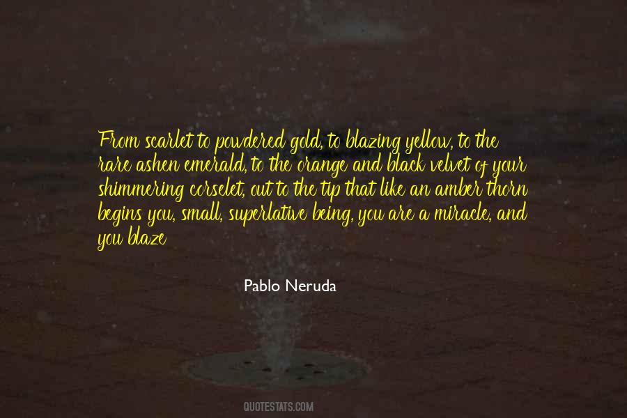 Black And Yellow Quotes #713658
