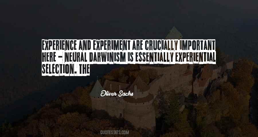 Tobacconists San Antonio Quotes #294415