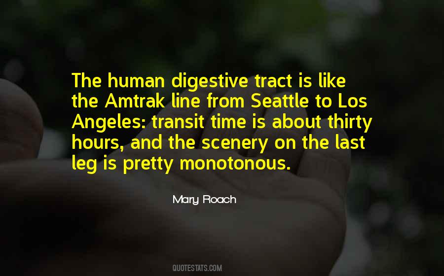 Yelverton Quotes #653981