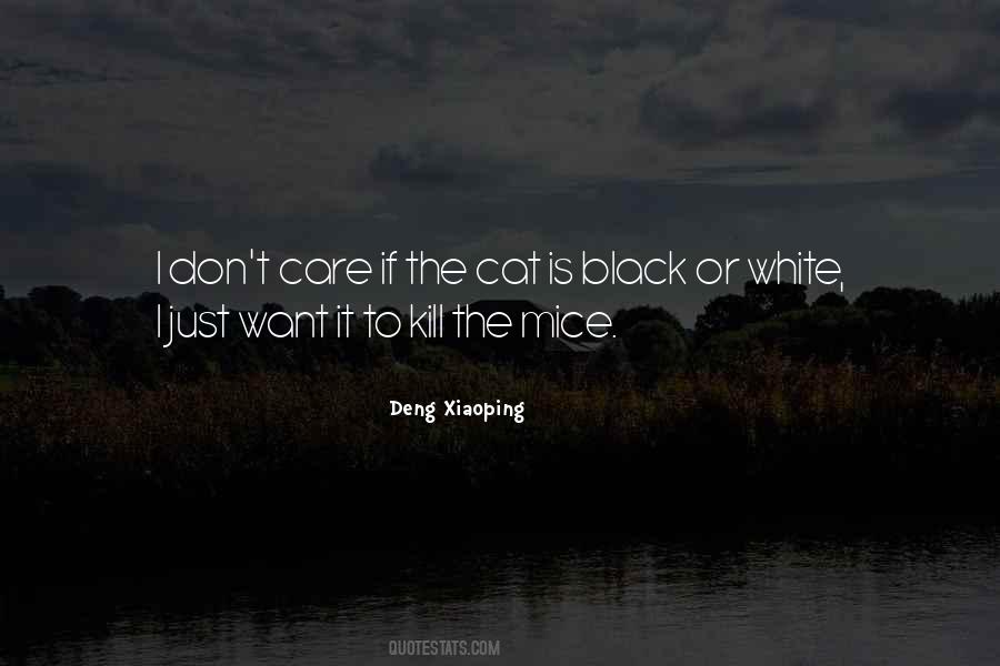 Black Cat White Cat Best Quotes #174241
