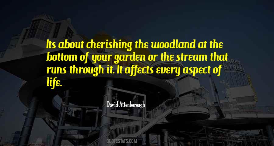 Quotes About The Stream Of Life #159770