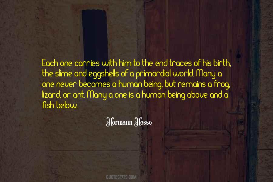 Aparente Sinonimos Quotes #1097851