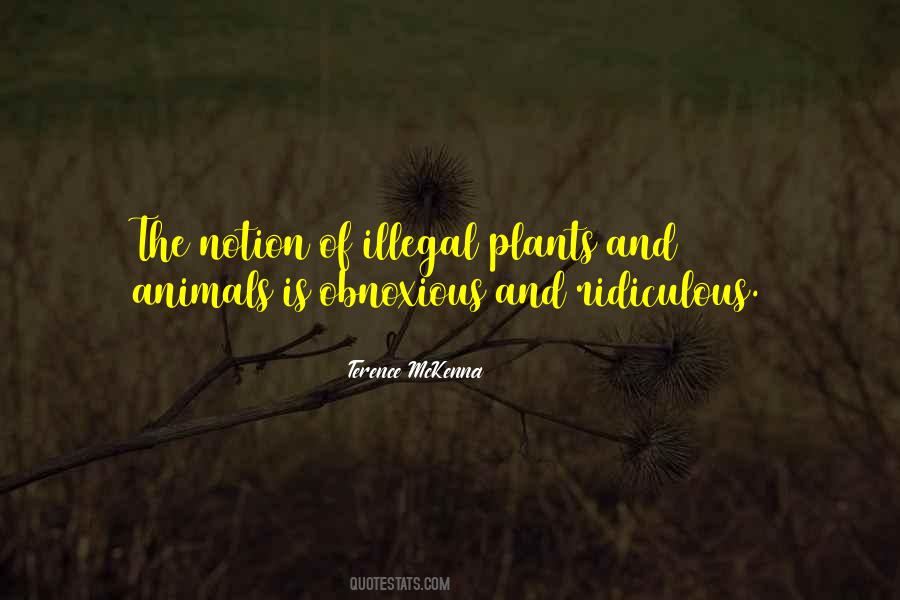 Aparente Sinonimos Quotes #1420569
