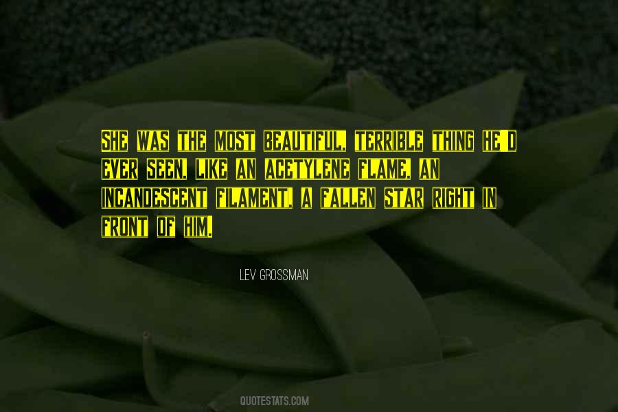 Karakulak Kedisi Quotes #314684