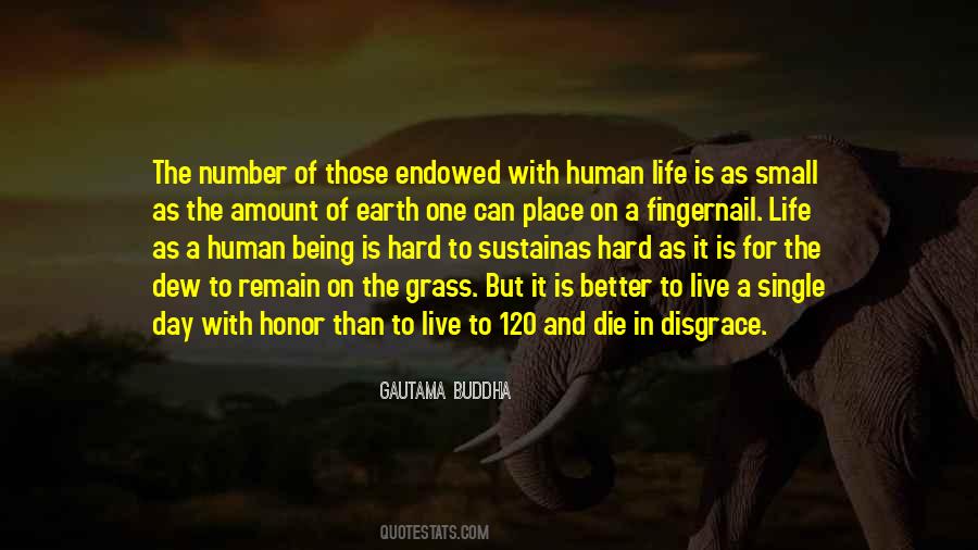 Better Human Being Quotes #279297