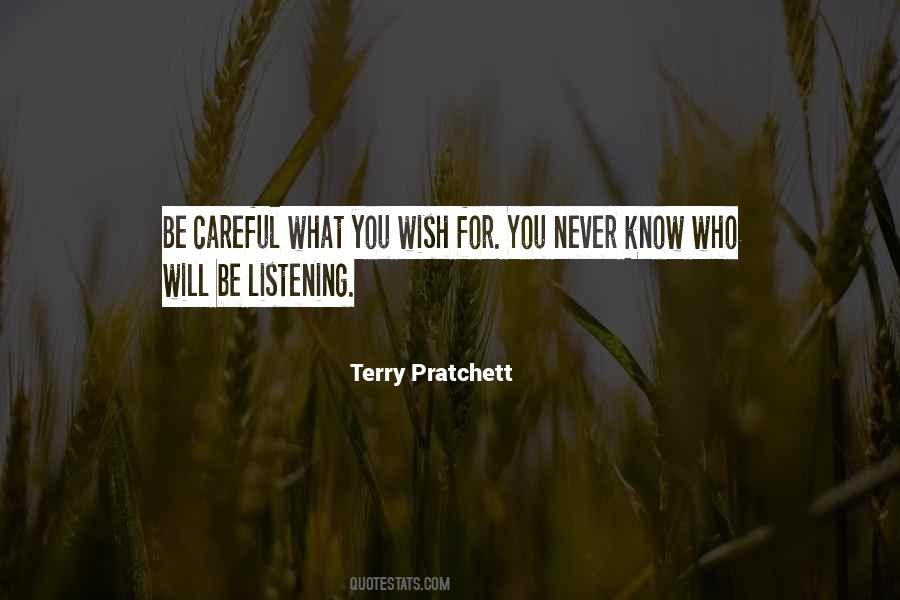 What You Wish Quotes #795068