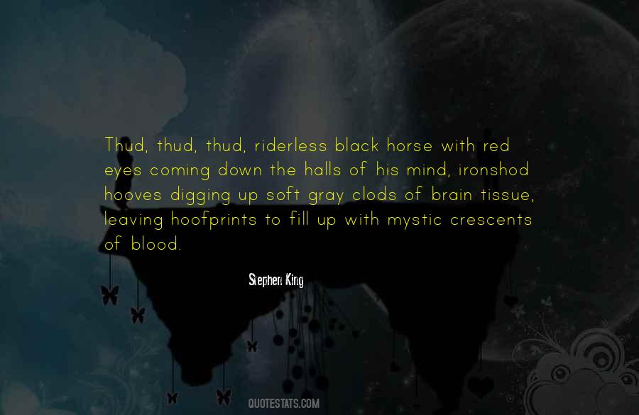 Black Horse Quotes #998169