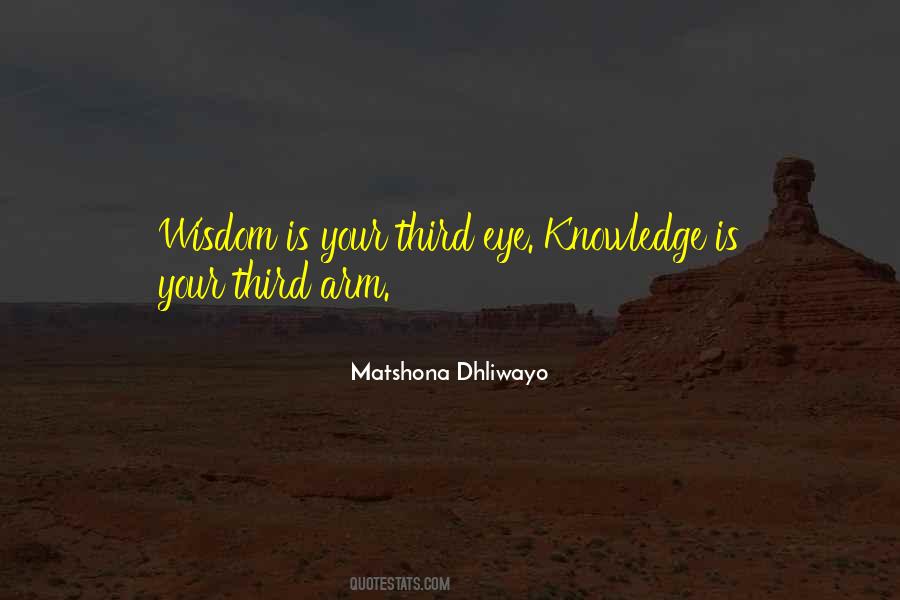 Desanto Shinawi Quotes #620632