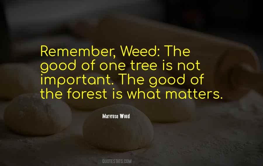 Littauer Hospital Quotes #871810