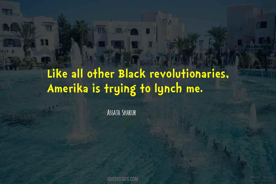 Black Like Me Quotes #553679