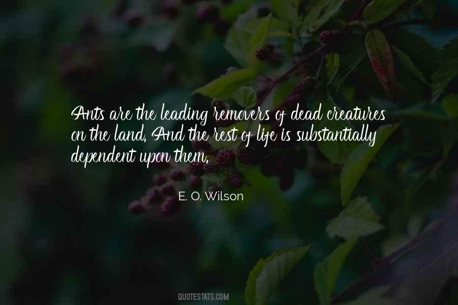 Jardinico Furniture Quotes #774097