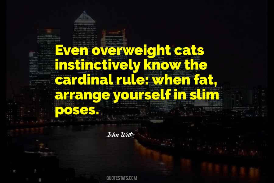 Vodanovich Quotes #474565
