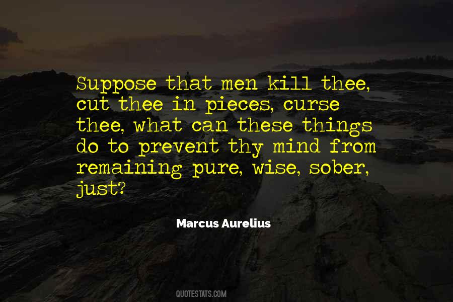 Hincks Palisades Quotes #328446