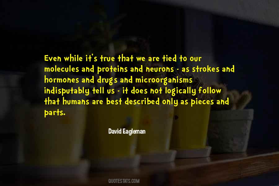 Unfixed Male Quotes #1690127